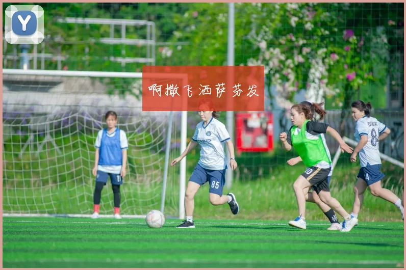 世界杯主持人聚焦赛事进程与赛场看点报道